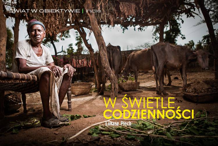 Losowy darmowy artykuł